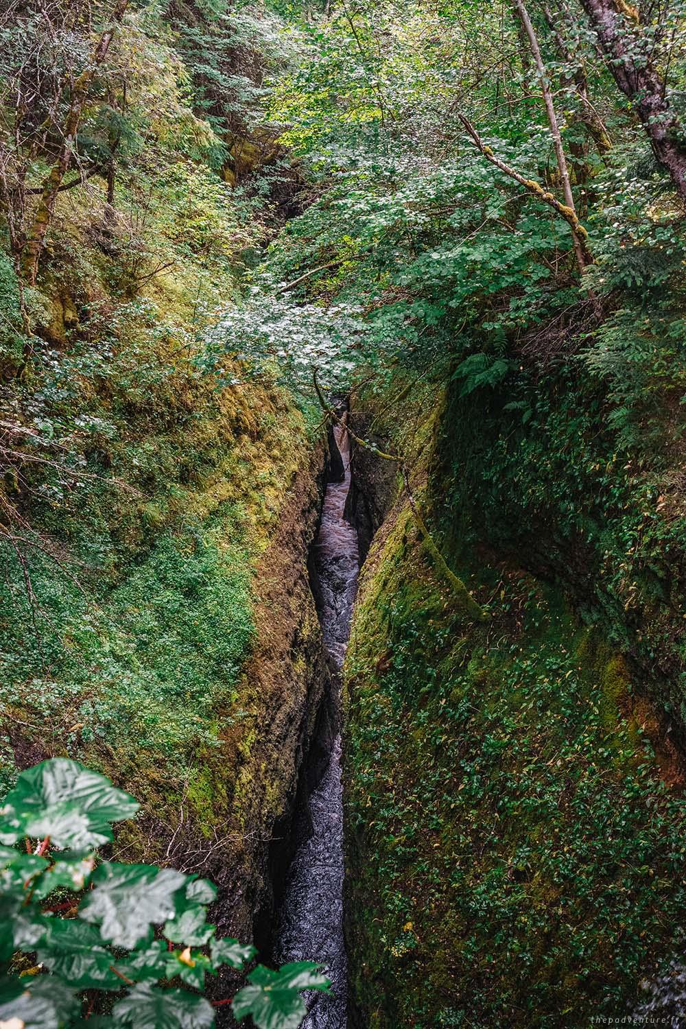 La gorge étroite de Black Rock Gorge au milieu de la forêt